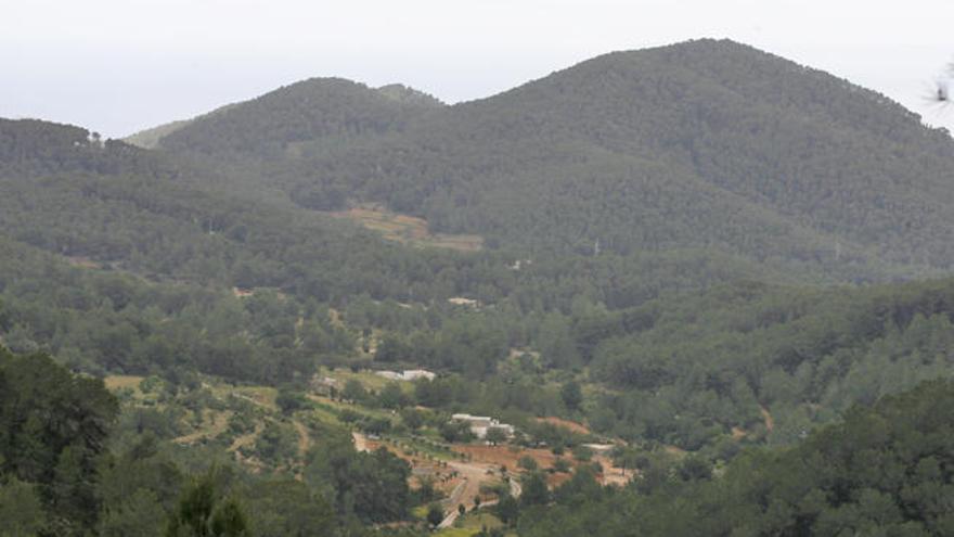 Zona des Rafal Trobat, una de las Áreas Naturales de Especial Interés (ANEI) de Ibiza.