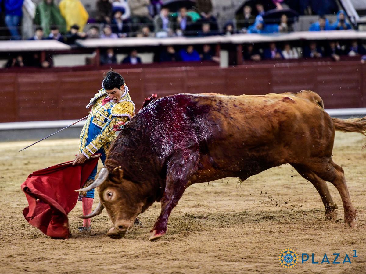 La gran embestida del sexto, de nombre ‘Brigadier’, una locomotora de bravura de Pedraza de Yeltes