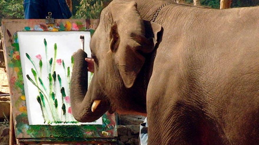 Un elefante pinta un lienzo en Tailandia.