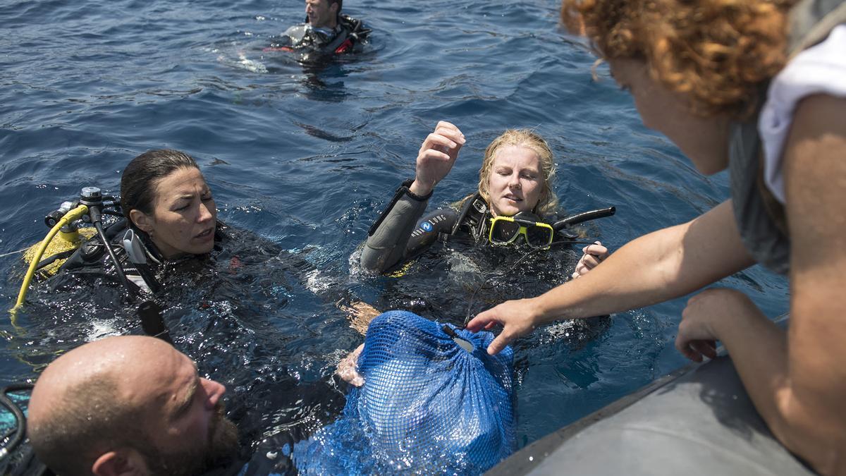 Buzos recogen plásticos del mar en la costa de Barcelona