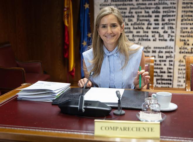 Aagesen niega presiones de Moncloa en los rescates de Air Europa, Plus Ultra y Tubos Reunidos
