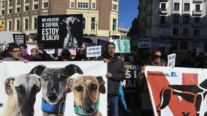 Manifestación en Santiago: se alzan voces por toda España y Europa contra la caza