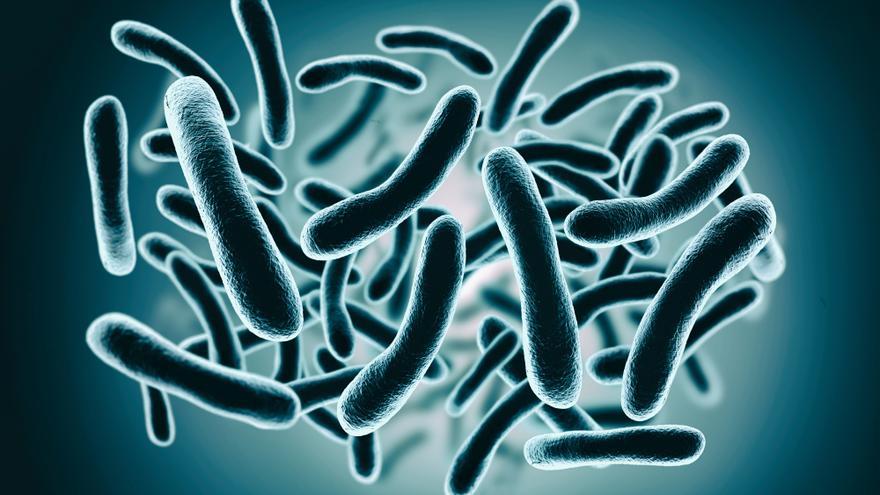 Helicobacter pylori: estos son los síntomas que avisan de una infección