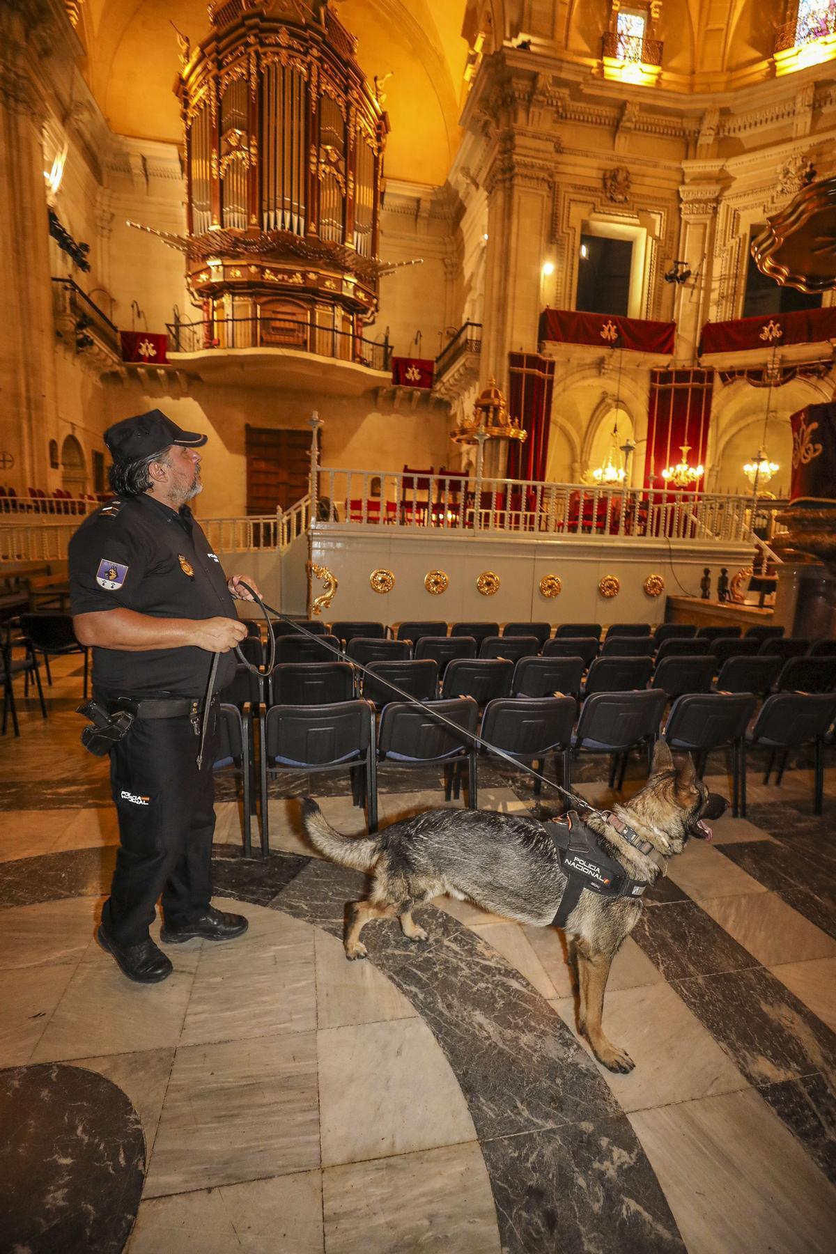 Un perro policía de la Unidad de Guías Caninos de la Policía Nacional en la Basílica de Santa María.