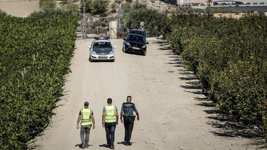 Agetes del Equipo Roca de la Guardia Civil de Ibi inspeccionando una finca agrícola situada en Monforte del Cid