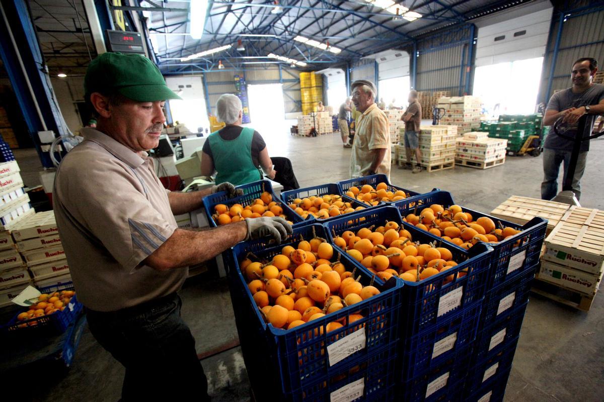 Imagen de archivo de trabajadores migrantes en una cooperativa agrícola.