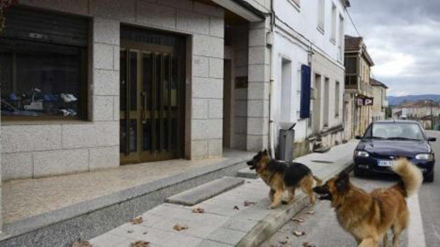 Un vecino pasea con dos perros a la altura del establecimiento asaltado en Cartelle, situado al pie de la carretera.  // Brais Lorenzo