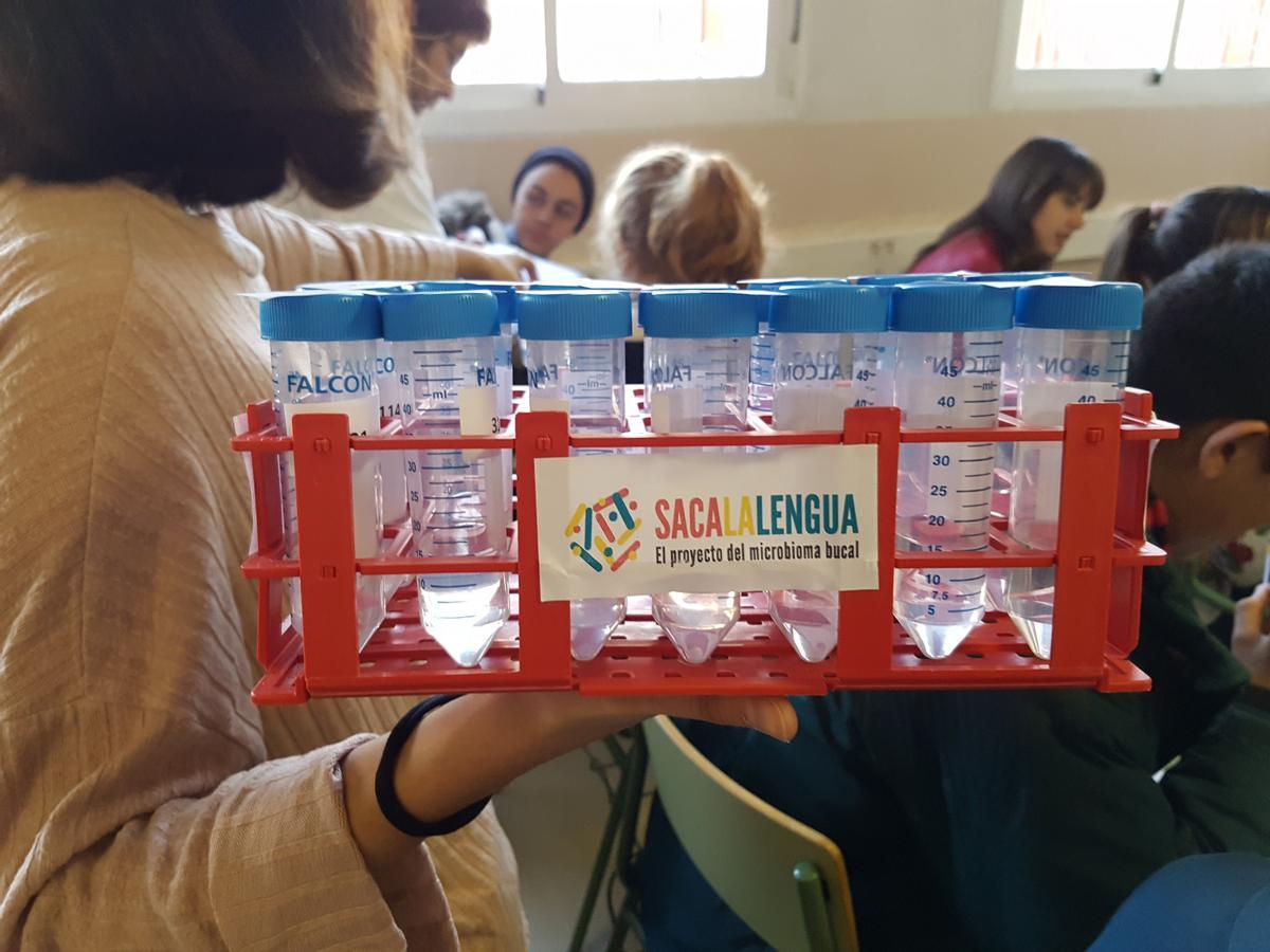 Recogida de muestras en colegios 1