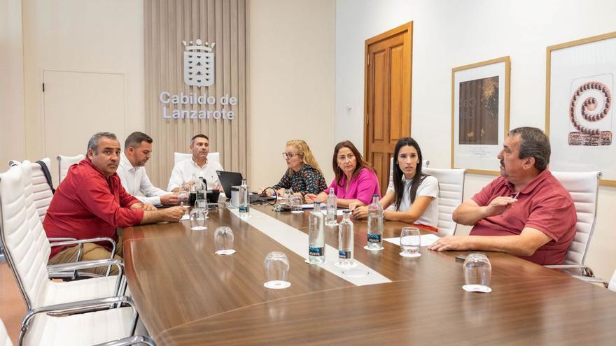 El Cabildo comprará dos solares en Arrecife para casas sociales