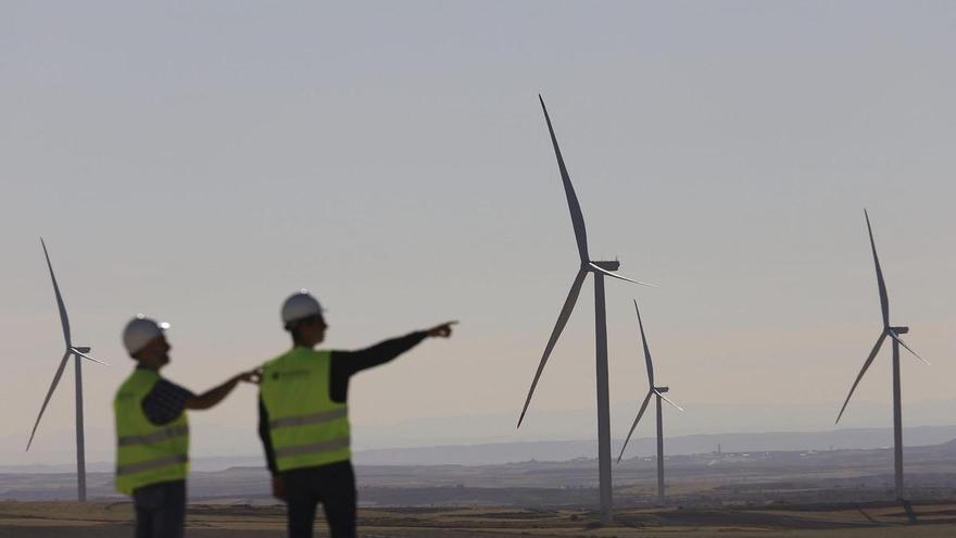 El fenómeno Forestalia: del esplendor renovable a las sombras del viento