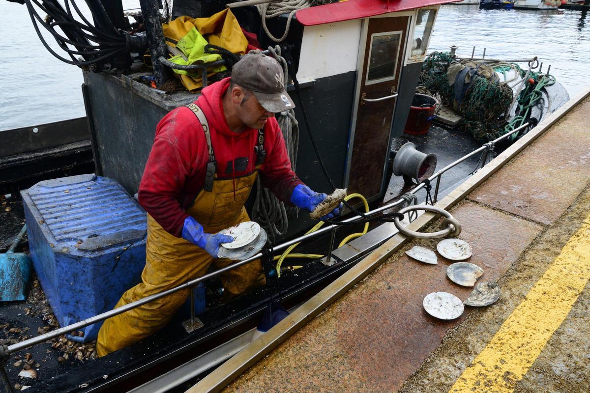 Traslado de restos de platos de un barco de la veira en el muelle de Cangas.