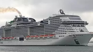 Impactante: un crucero atraca con una ballena muerta atrapada en la proa