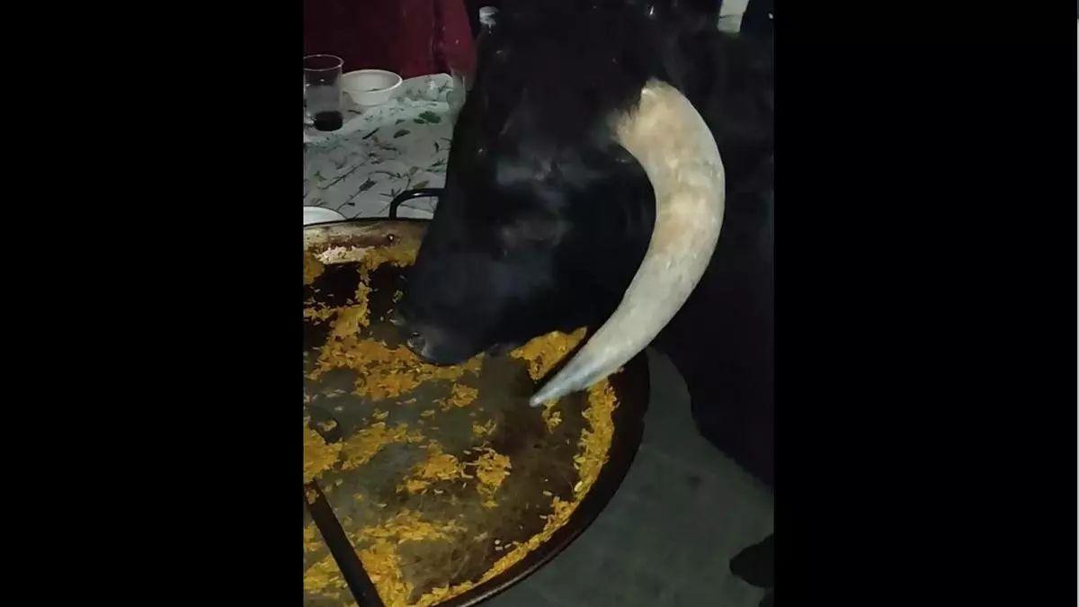 El toro comiendo paella