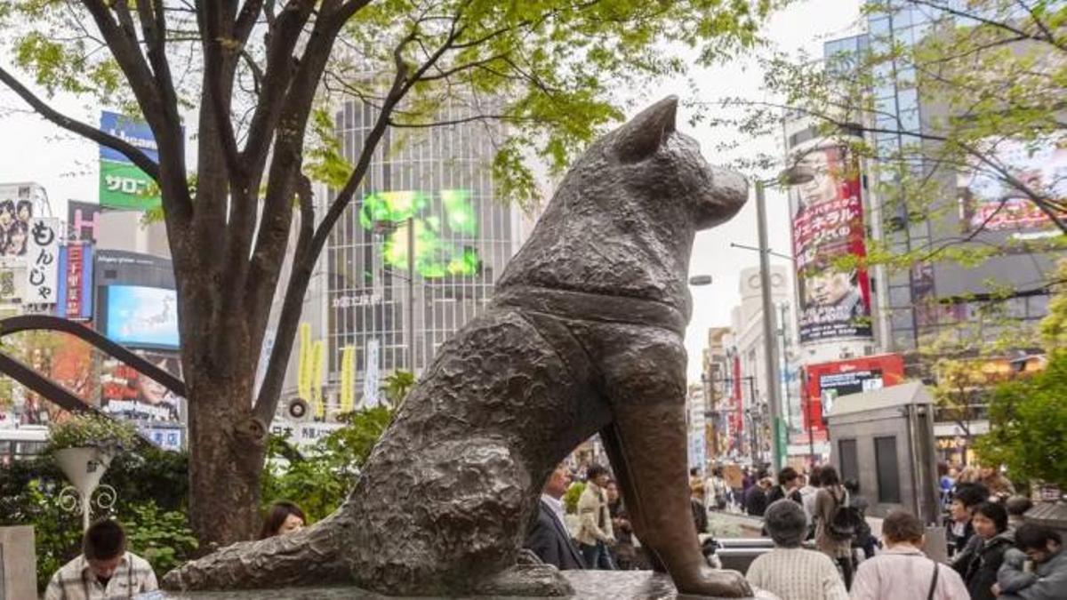 El perro Hachiko.