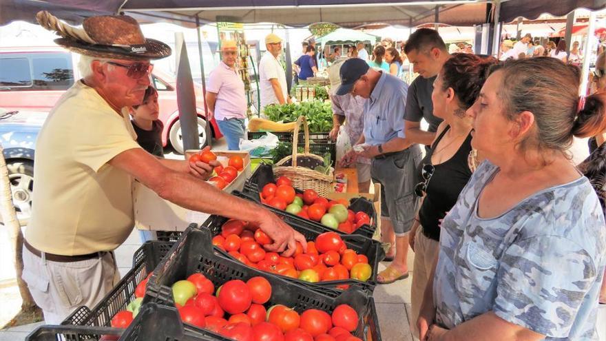 Productores de la comarca acuden a la VIII Feria del Huerto de Tentudía