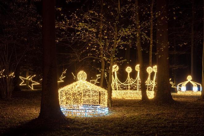 Luces del Real Jardín Botánico