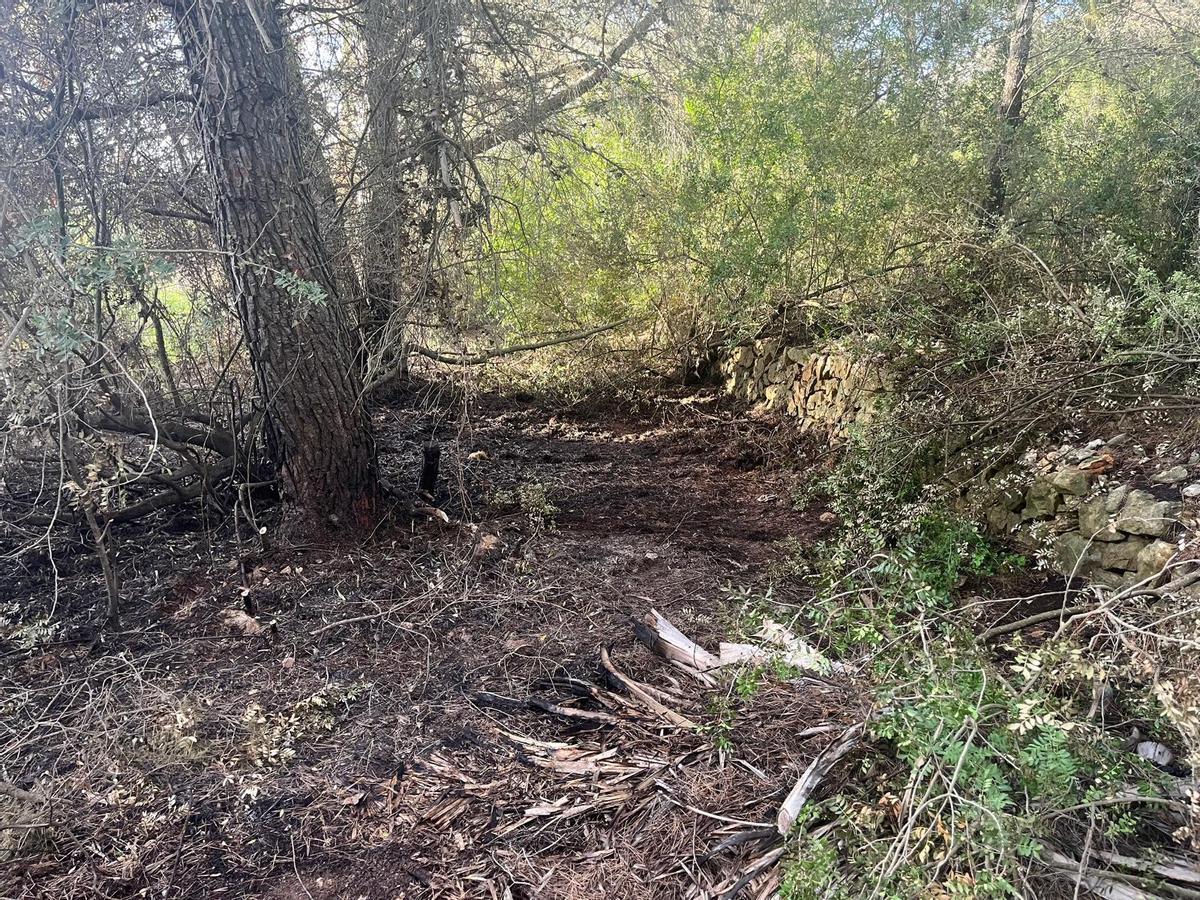 La rápida respuesta ha evitado que el fuego se propagara