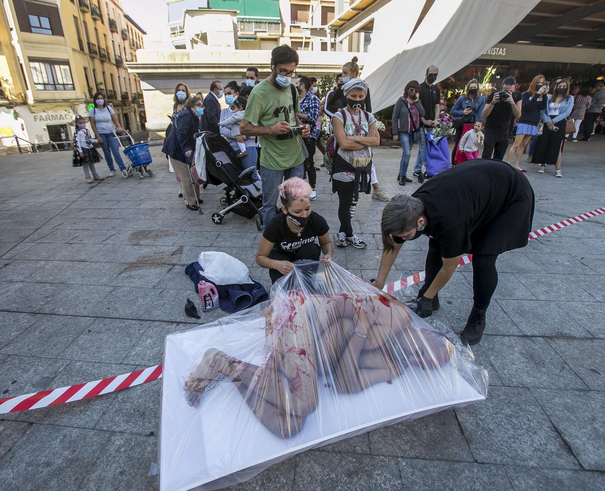 Protesta por el consumo de carne animal en Alicante