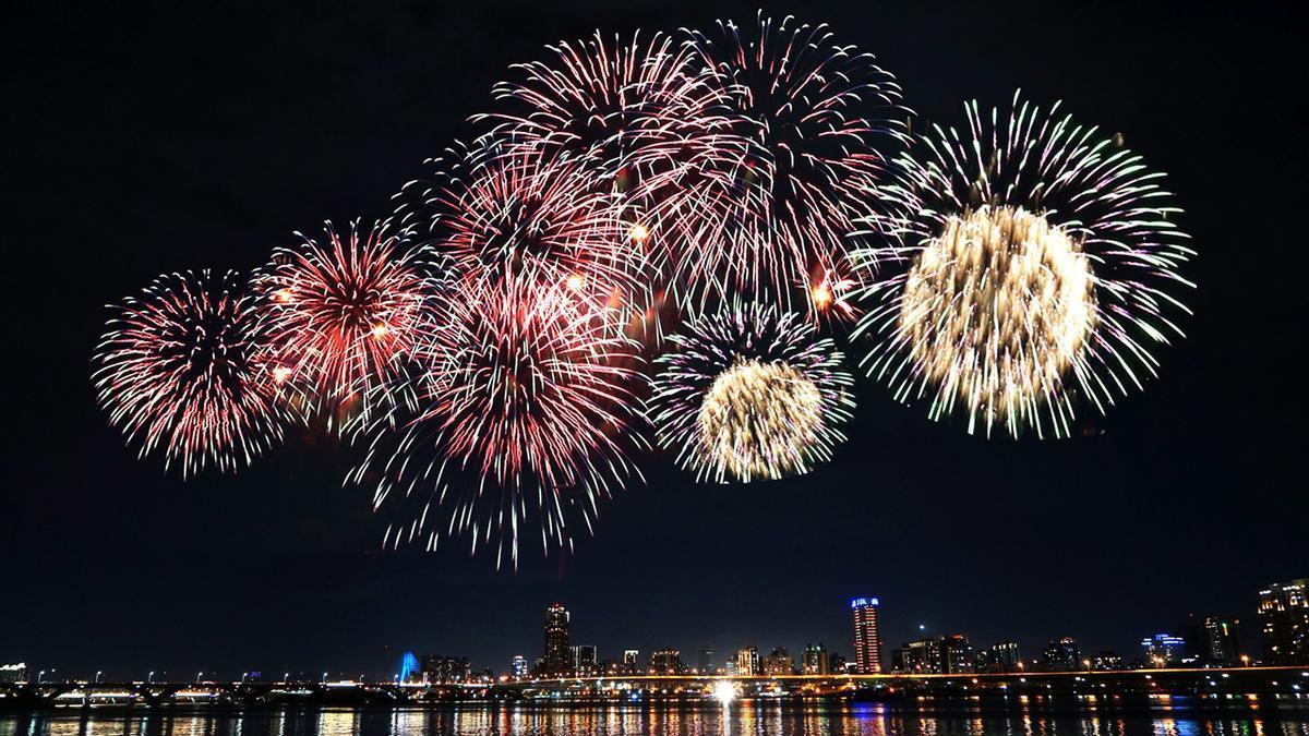 PETARDOS Y ANIMALES | Los animales no son amigos de los fuegos artificiales: estos son los impactos que causan en la fauna