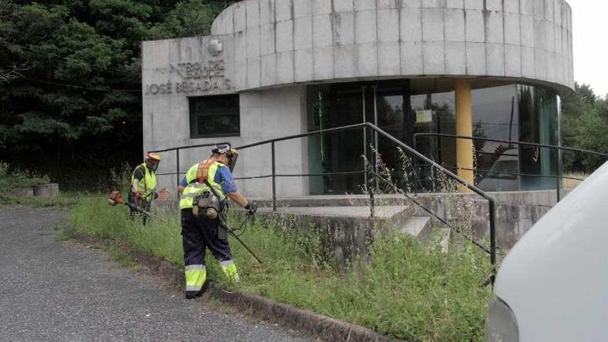 La nueva brigada de desbroces, el viernes, actuando en Vea.  // Bernabé