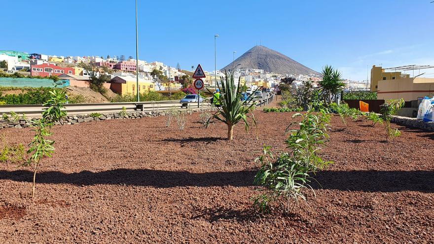 Gáldar mejora la zona verde aledaña a la salida de La Majadilla