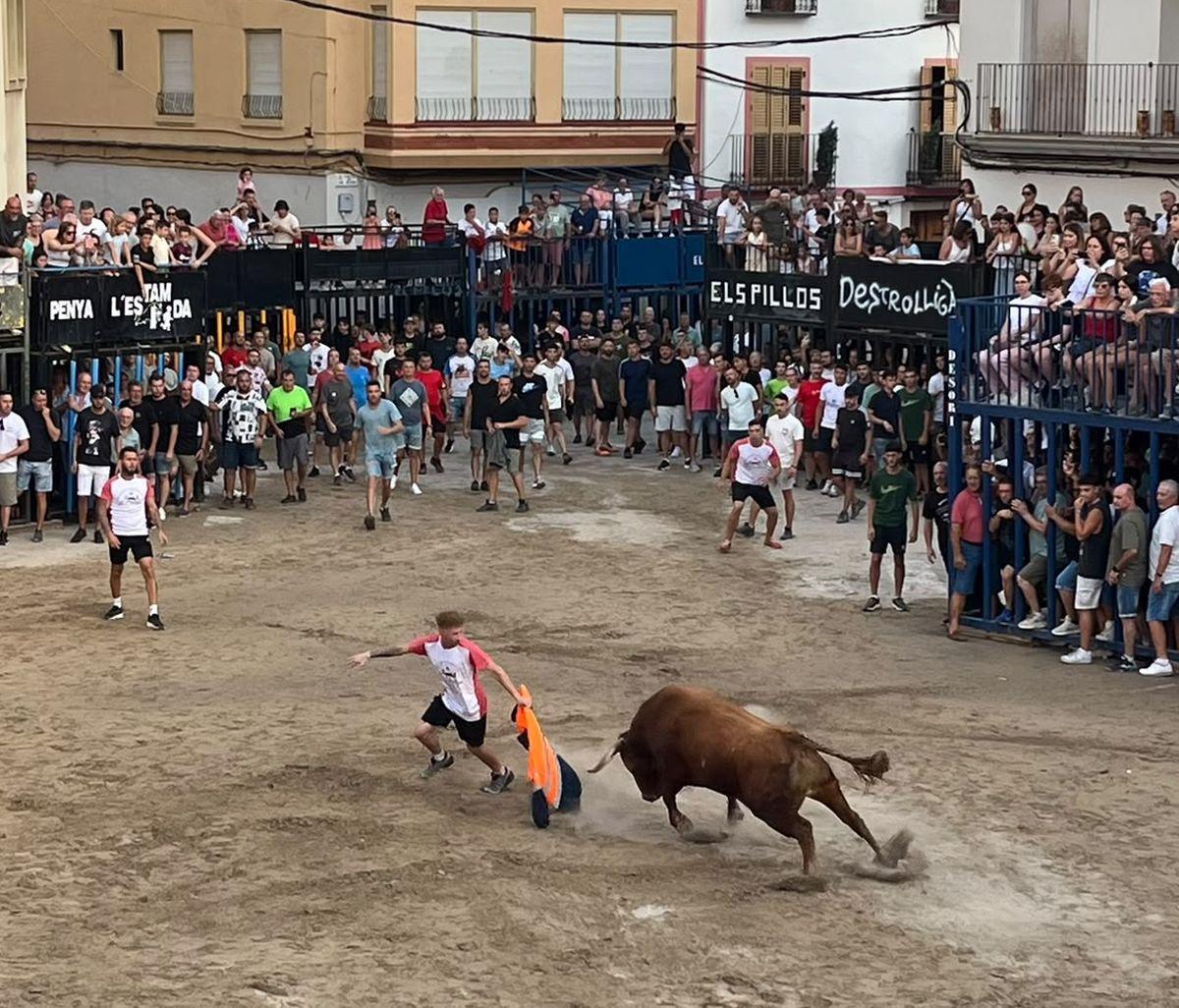 Un 'rodaor' realiza un quiebro al segundo toro que se ha exhibido este marte en Moncofa.