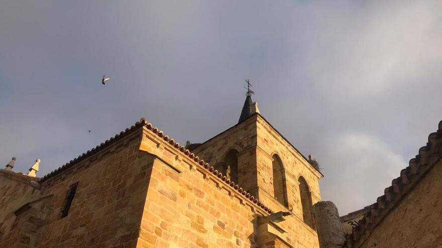 La iglesia de San Cipriano, al amanecer este domingo en Zamora.