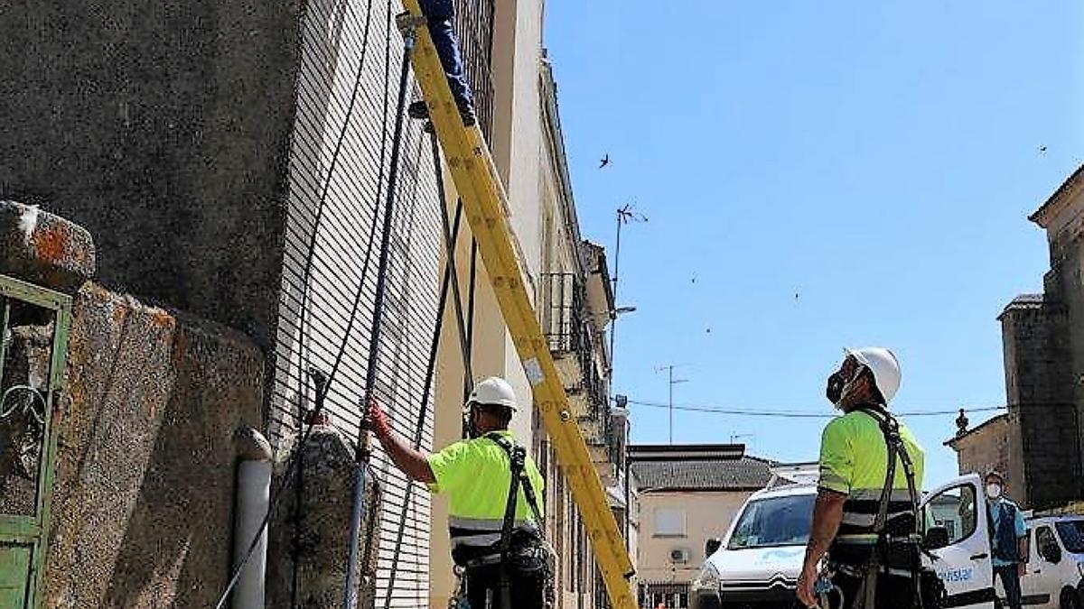 Trabajos de colocación de fibra óptica en una vivienda.