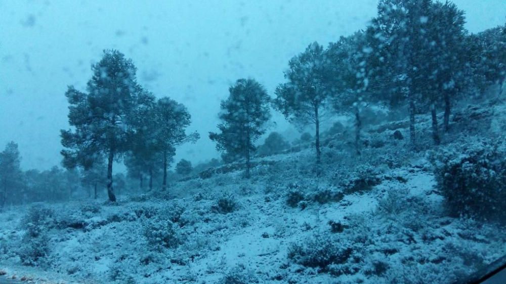 Nieve en Ayora