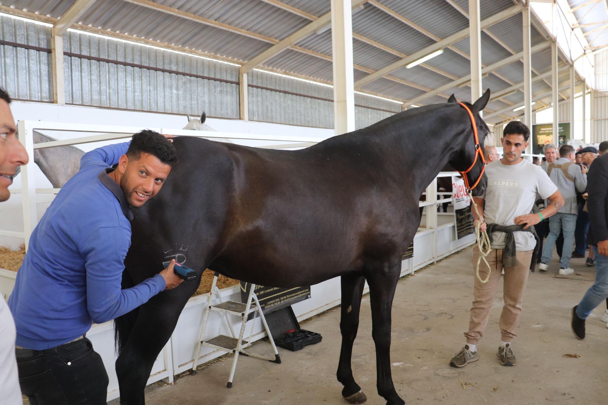 Así fue la inauguración de la Feria de Zafra 2024