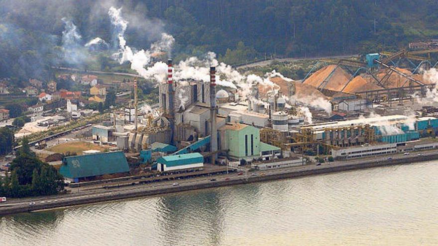 Complejo industrial de Ence en Lourizán, a orillas de la ría.  // Noé Parga