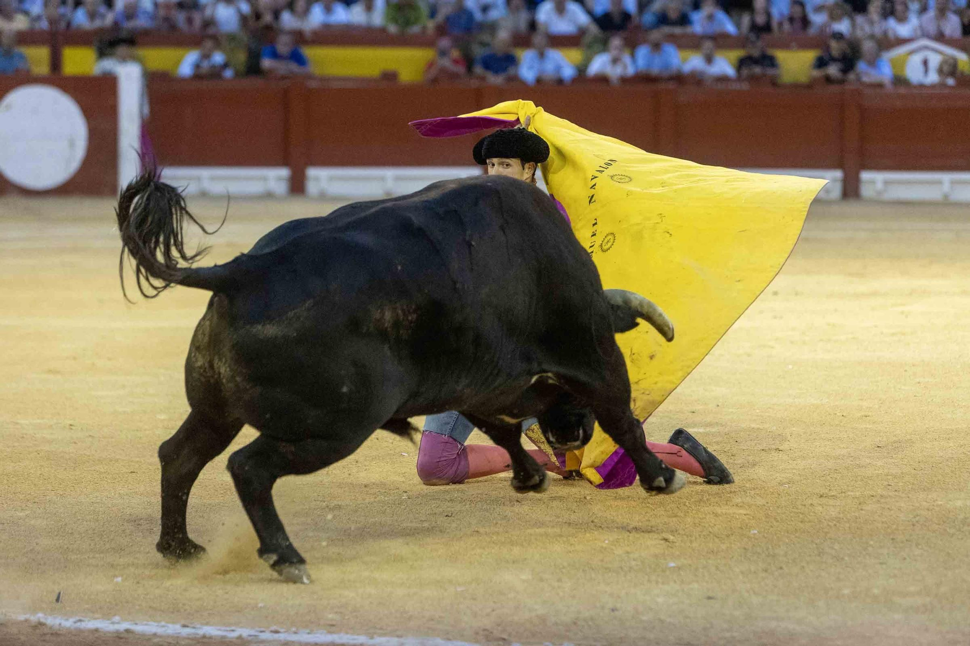 Manzanares, Roca Rey y Navalón no defraudan en la Feria de Hogueras 2025