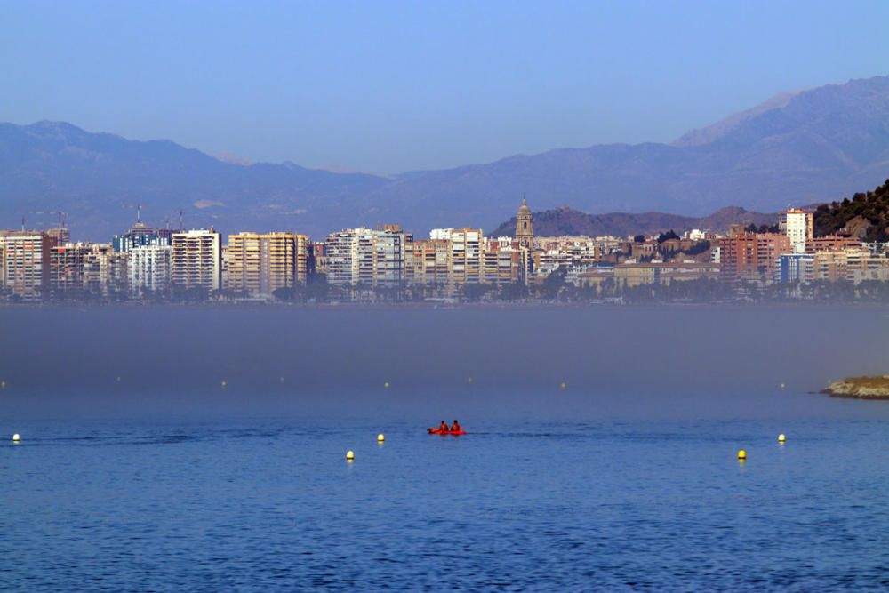 El taró cubre Málaga