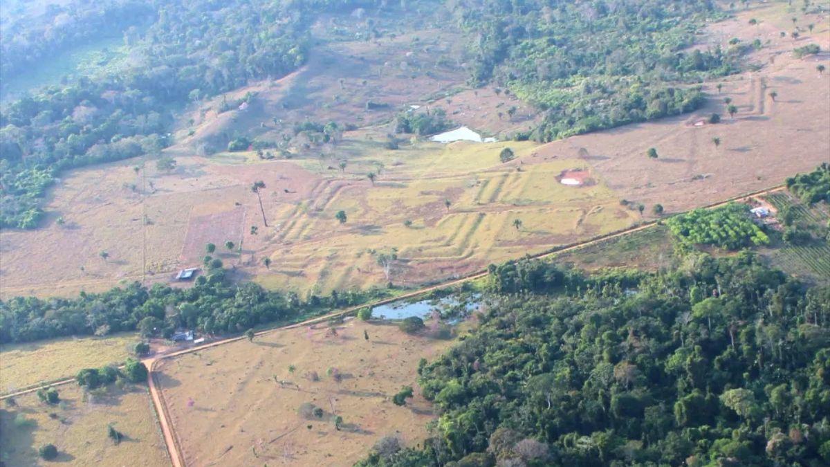 Sitio arqueológico de Tequinho en Acre, Brasil.