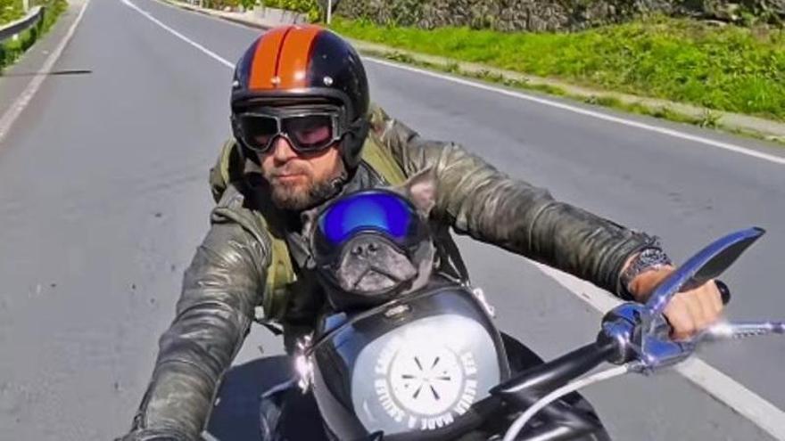 El perro motero más viral es de Marín y se llama Harley: sus vídeos suman millones de visualizaciones