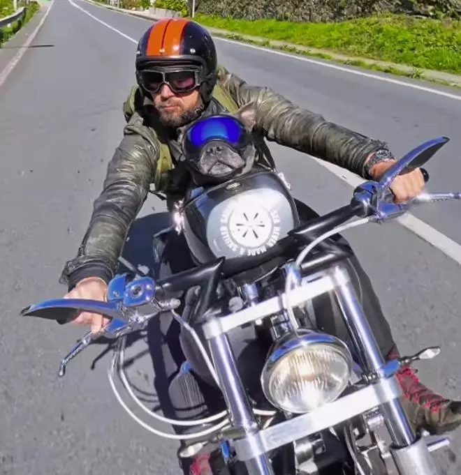 Harley, el perro motero 'influencer' de Marín que levanta pasiones hasta en Estados Unidos