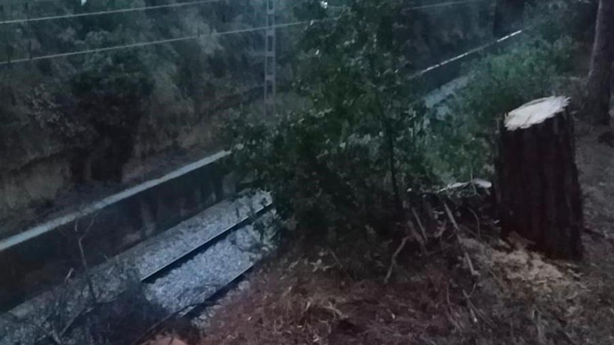 Imagen del sabotaje en la R3 de Rodalies en Les Franqueses