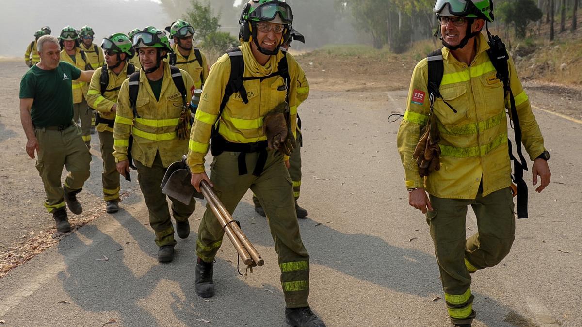Imagen de archivo de bomberos forestales en un incendio en la provincia de Málaga.