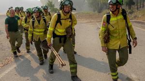Archivo - Imagen de archivo de bomberos forestales en un incendio en la provincia de Málaga.