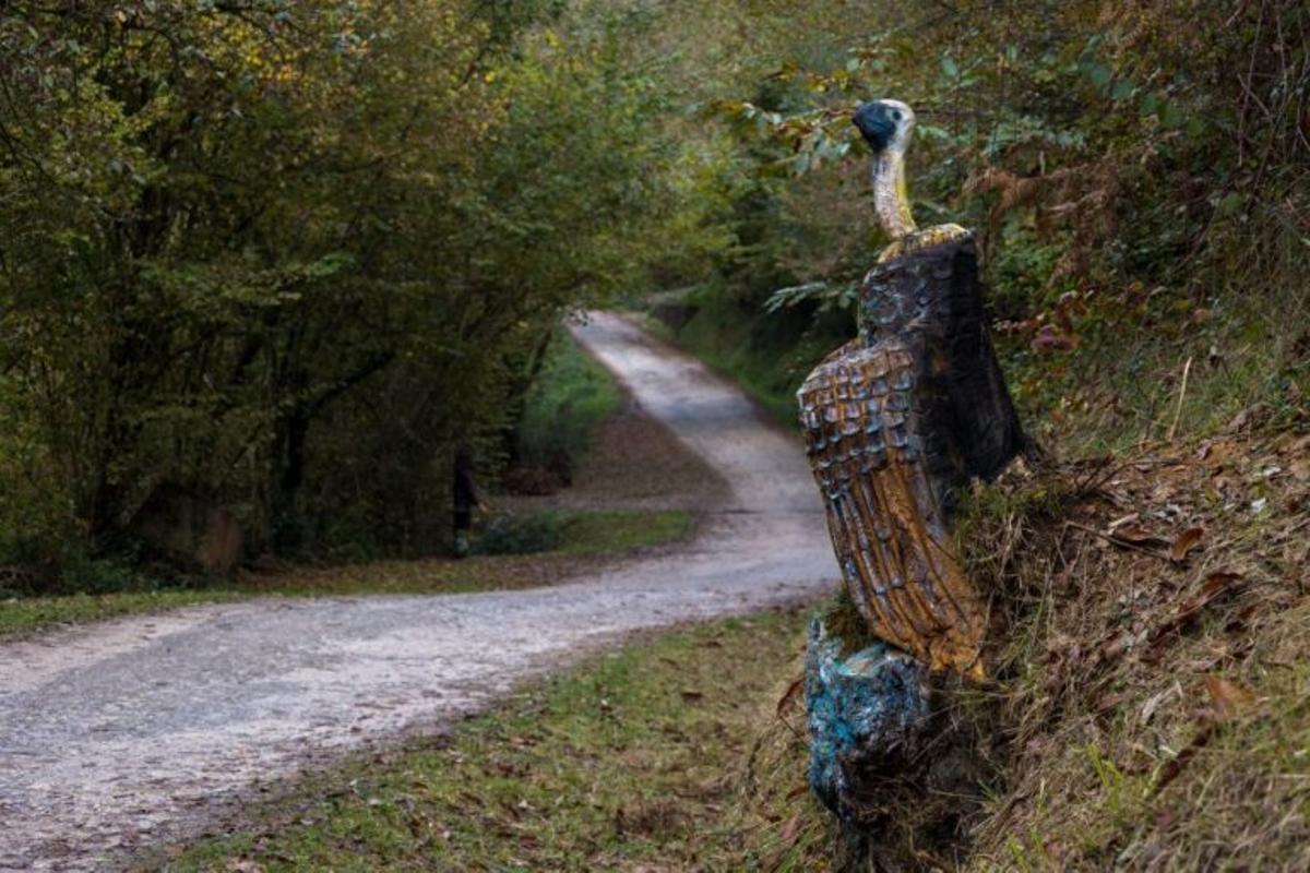 Bosque de Monte Tejas.