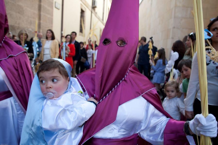 Semana Santa en Zamora: La Borriquita