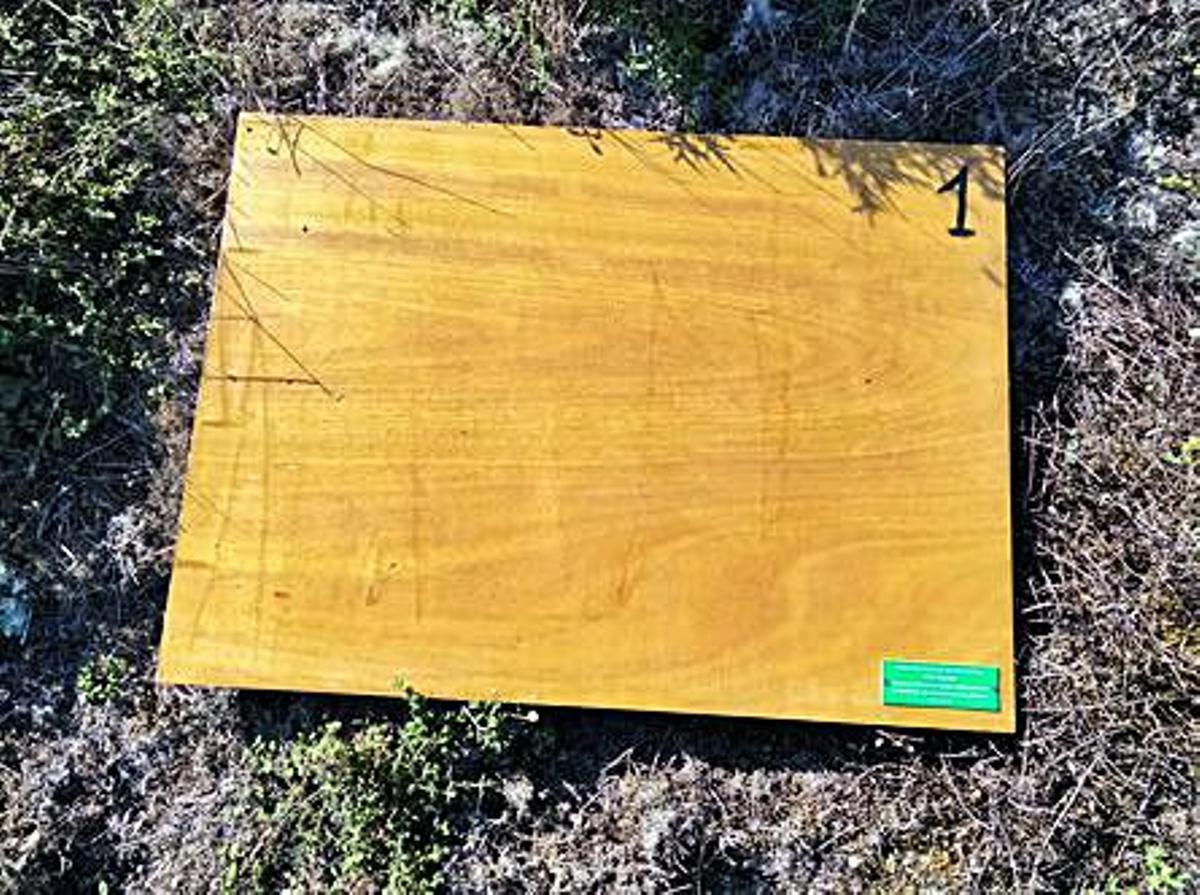 La riqueza natural de A Illa: elaboran un atlas sobre anfibios y reptiles del municipio | 7