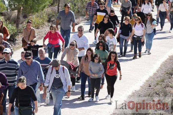 Romería de La Hoya (II)