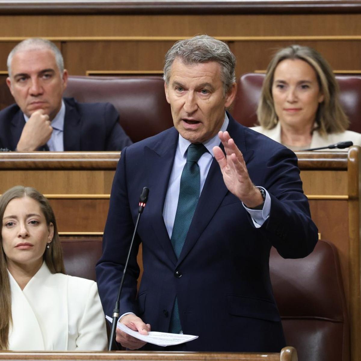 El PP portarà al Senat l’esmena que reclama eleccions