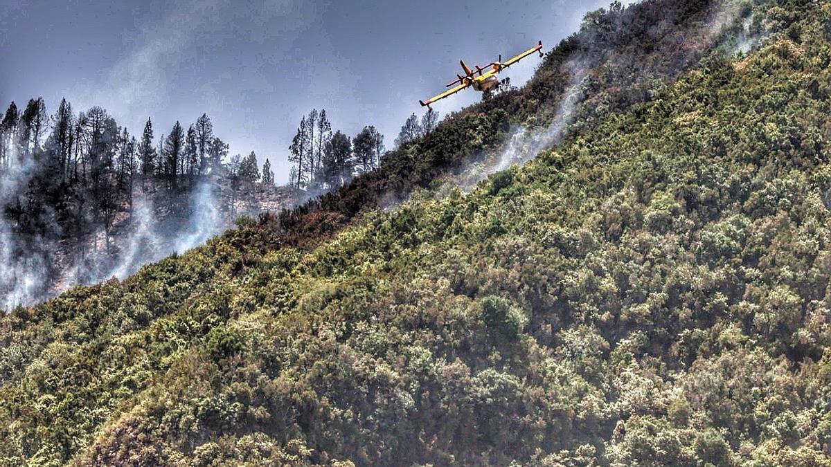 Un hidroavión, en las labores de extinción del inendio de Tenerife.