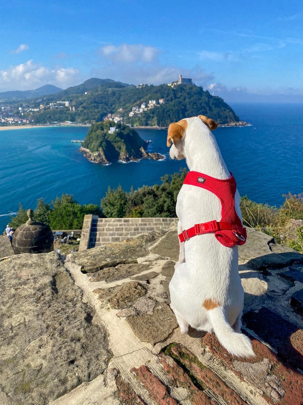Admirando las vistas desde el monte Urgull. 