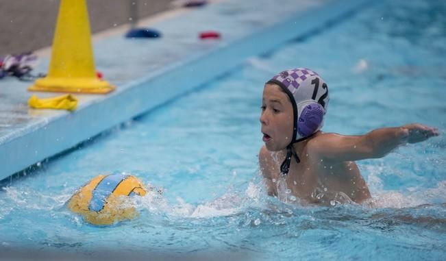 Deporte BASE. Reportaje a la cadena de waterpolo ...