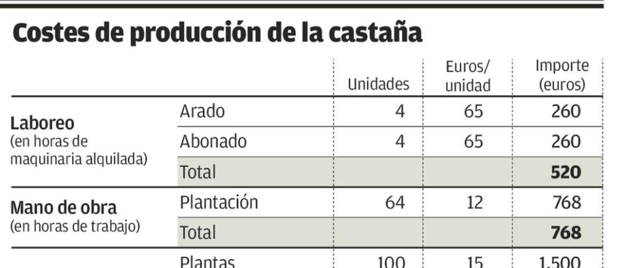 La castaña, el recurso olvidado