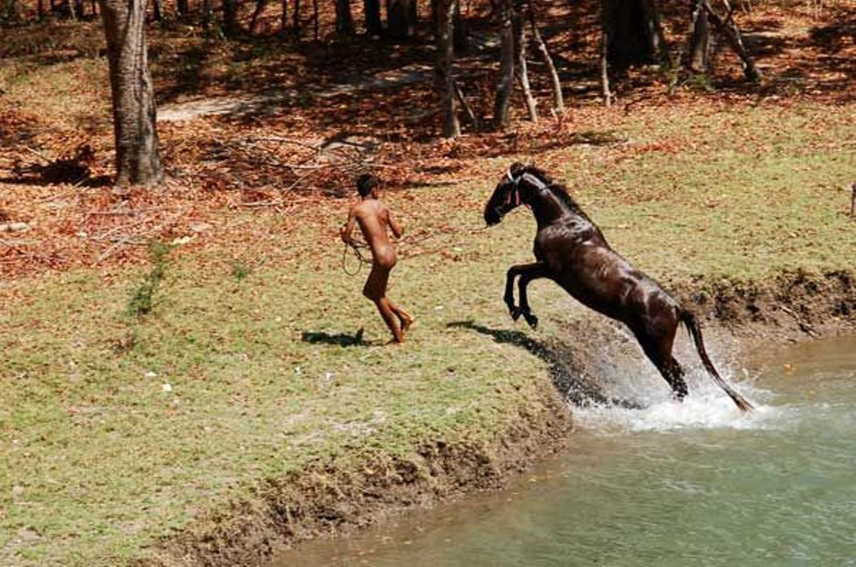 El caballo es el animal más apreciado por los sumbaneses.