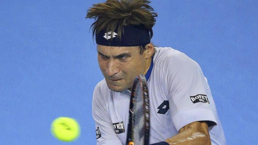 David Ferrer.